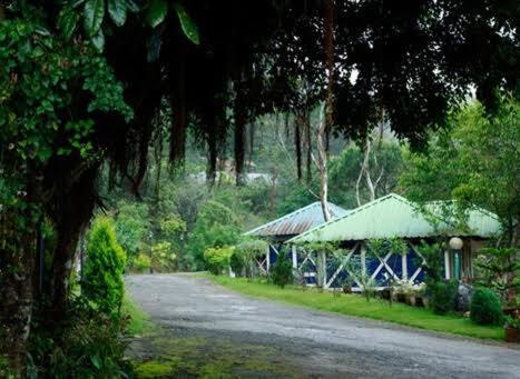 Meenu'S Home Stay Anachal Exterior photo